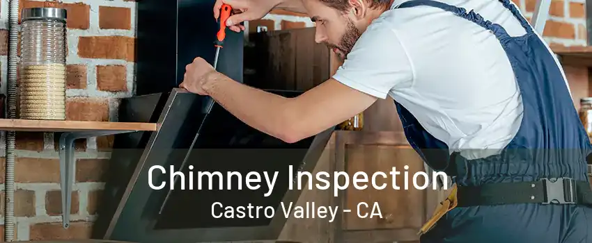 Chimney Inspection Castro Valley - CA