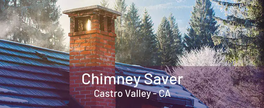 Chimney Saver Castro Valley - CA