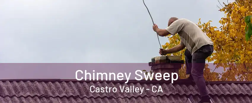 Chimney Sweep Castro Valley - CA