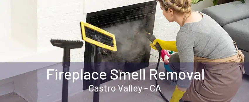 Fireplace Smell Removal Castro Valley - CA