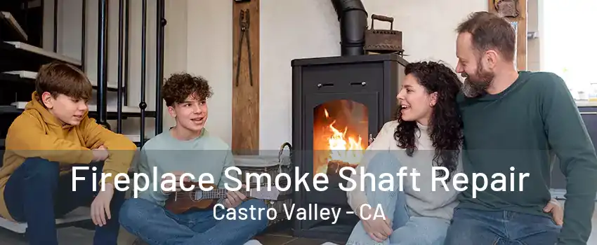 Fireplace Smoke Shaft Repair Castro Valley - CA