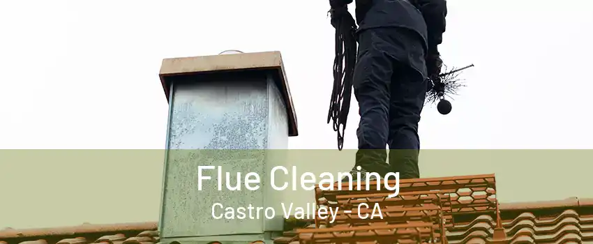 Flue Cleaning Castro Valley - CA