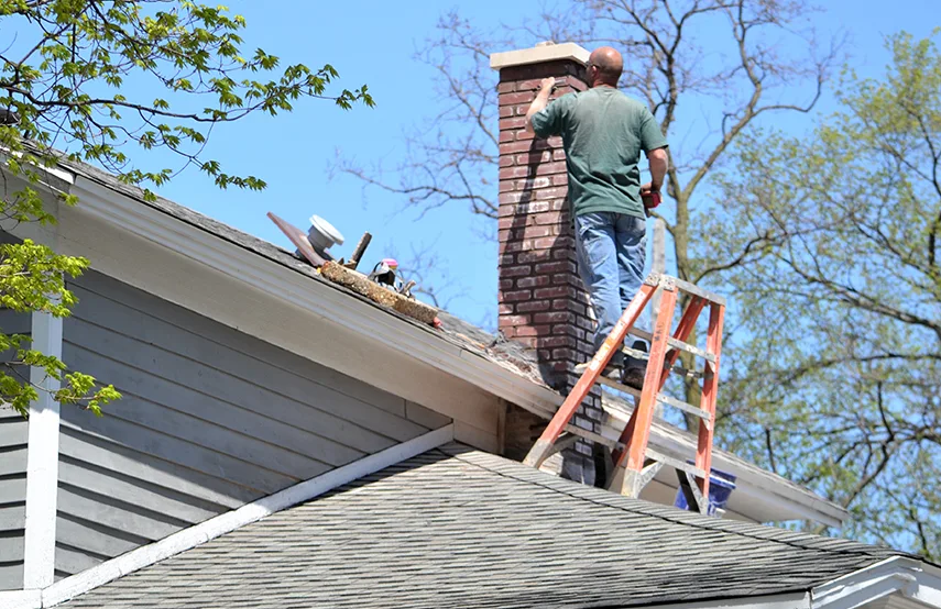 Chimney & Fireplace Inspections Services in Castro Valley, CA