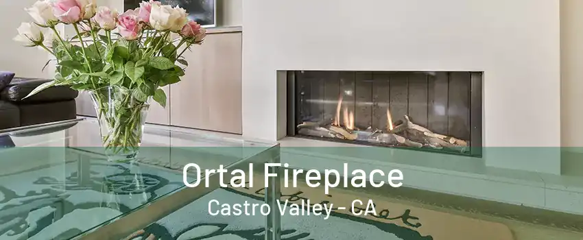 Ortal Fireplace Castro Valley - CA