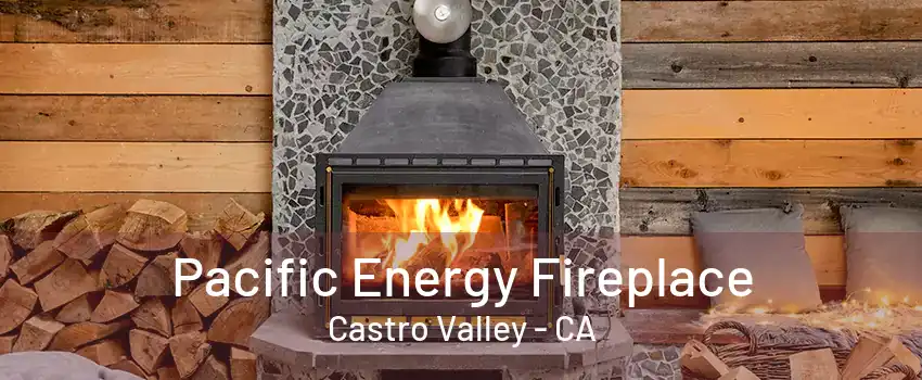 Pacific Energy Fireplace Castro Valley - CA